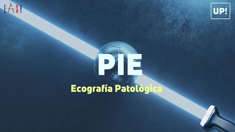 Ecografía Patológica de Pie