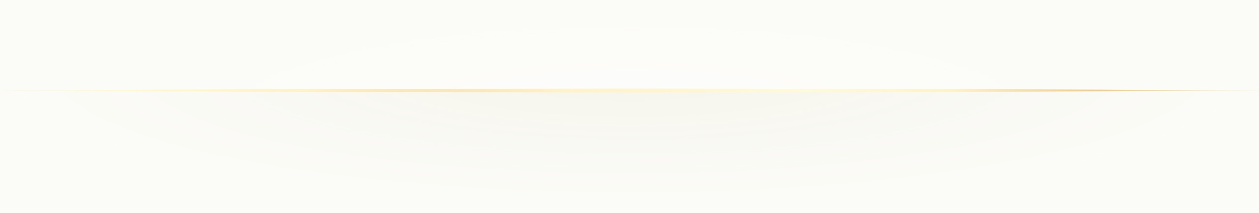 Separador de sección